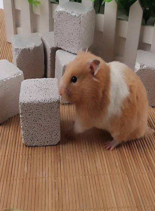 Litewoo 5CM Hamster Lava Chewing Toy Square Pumice Teeth Grinding Stone for Small Animal Hamster Rat Rabbit Chinchilla Guinea Pig (Pack of 10) - Image 3